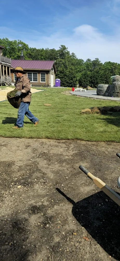 Expert yard cleanup service in Stafford, VA by Maldonado Landscaping