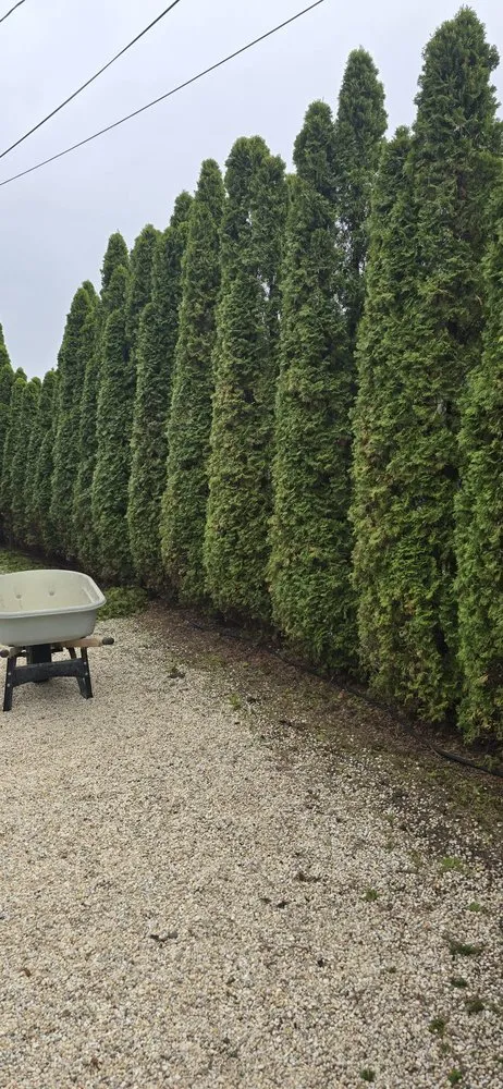 Professional lawn care service in Stafford, VA - Maldonado Landscaping