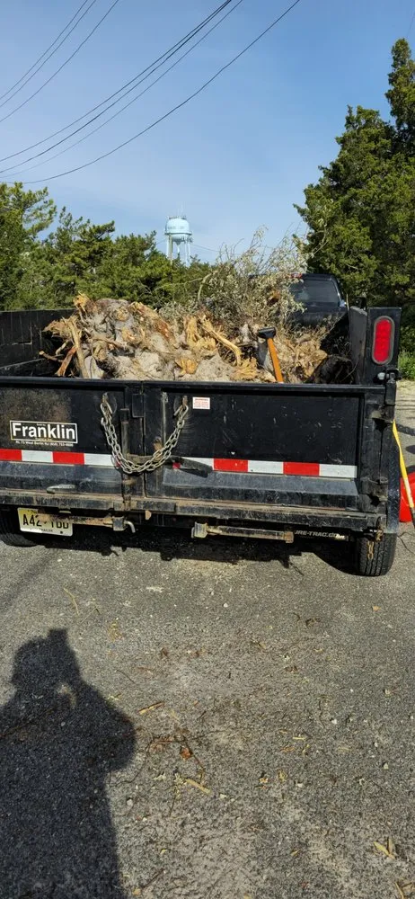 Affordable landscape installation for year-round maintenance across Stafford, VA - Maldonado Landscaping