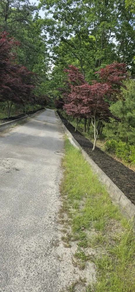 Top-rated yard cleanup service for beautiful yards across Stafford, VA - Maldonado Landscaping