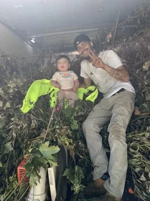 Maldonado Lawn Services Logo