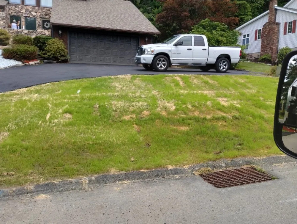 Expert yard cleanup service experts serving Dickson City, PA - Maldonado Lawns