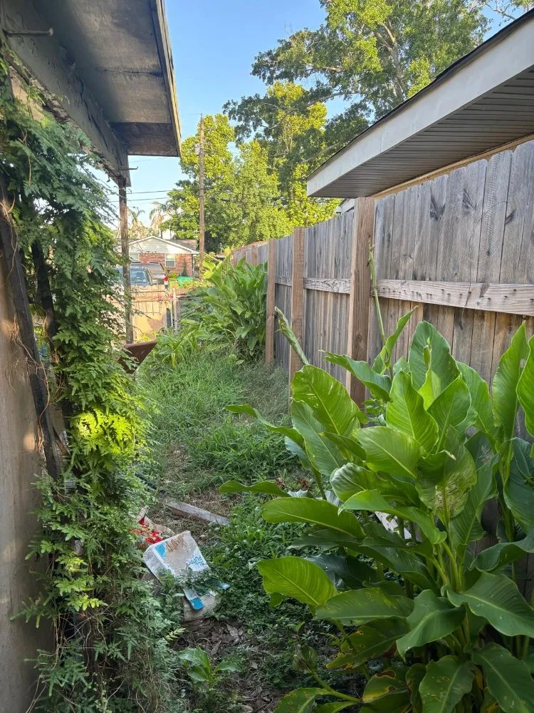 Affordable lawn mowing service in Kenner, LA by Maldonado Lopez Landscaping and Lawncare