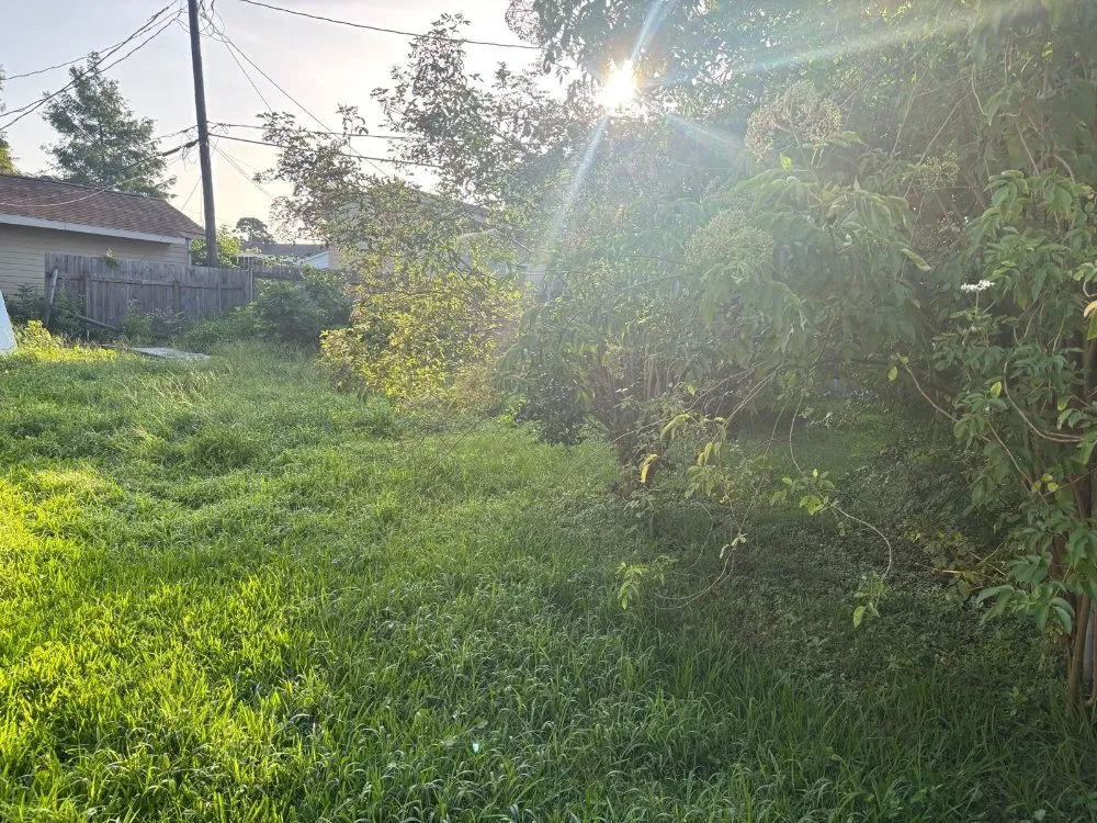 Expert yard maintenance for outdoor upgrades in Kenner, LA by Maldonado Lopez Landscaping and Lawncare