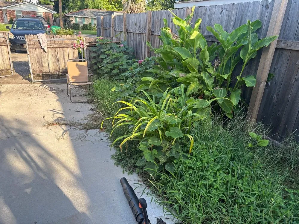 Local yard maintenance for homes across Kenner, LA - Maldonado Lopez Landscaping and Lawncare