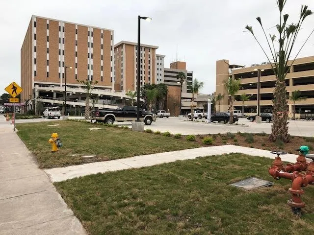 Expert outdoor landscaping in Corpus Christi, TX - Maldonado Nursery & Landscaping