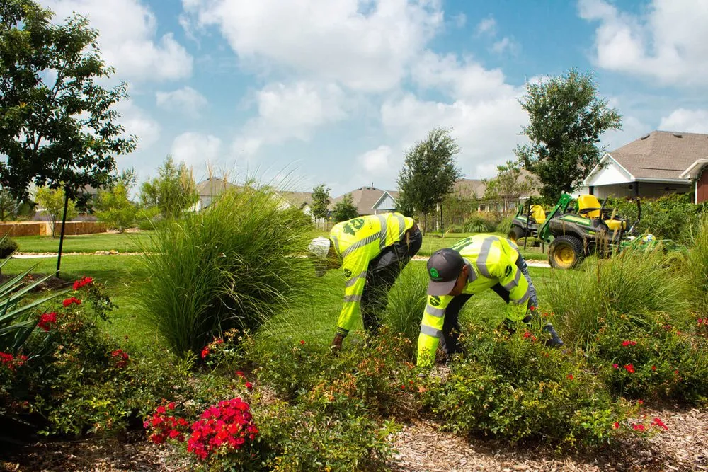 Local garden landscaping in Corpus Christi, TX by Maldonado Nursery & Landscaping