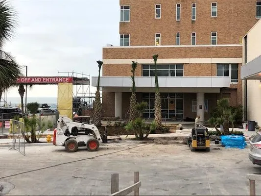 Maldonado Nursery & Landscaping Logo