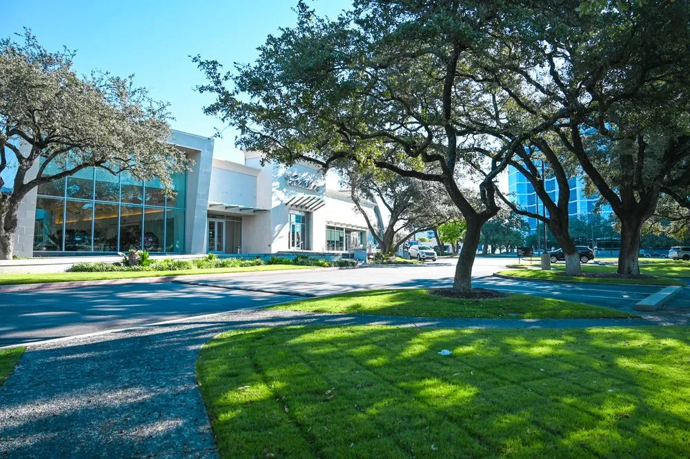 Local yard maintenance near you in San Antonio, TX by Maldonado Nursery & Landscaping