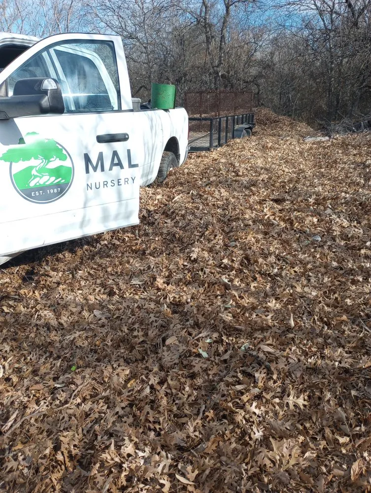 Affordable landscape design in San Antonio, TX by Maldonado Nursery & Landscaping