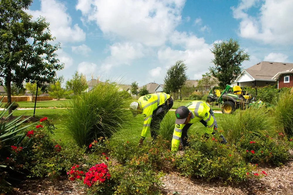 Custom yard maintenance in San Antonio, TX by Maldonado Nursery & Landscaping