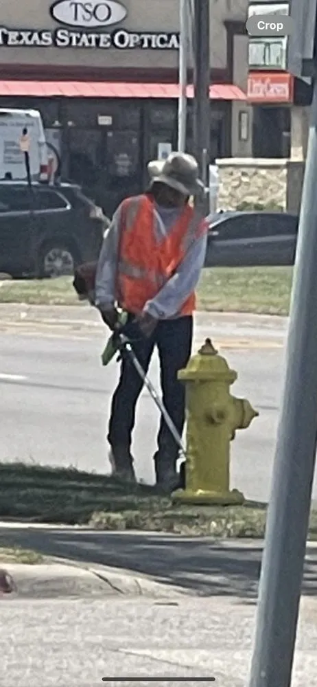 Expert landscaping services for beautiful yards in San Antonio, TX by Maldonado Nursery & Landscaping