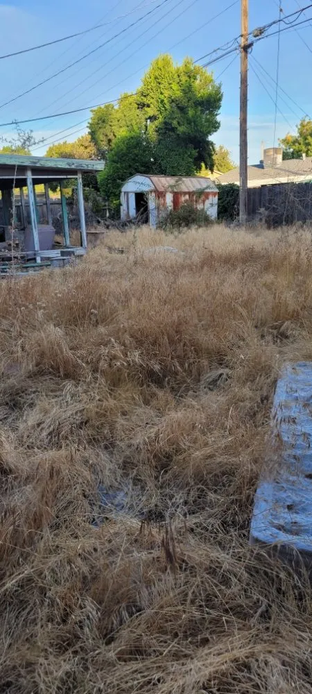 Local outdoor landscaping experts serving Modesto, CA - Maldonado's Junk Removal & Hauling