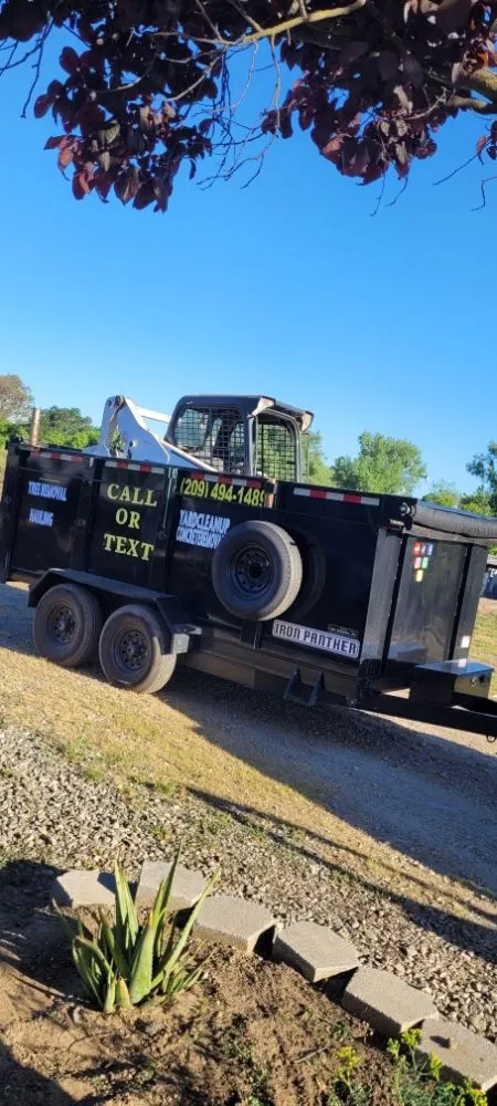 Local yard maintenance for residential properties in Modesto, CA by Maldonado's Junk Removal & Hauling