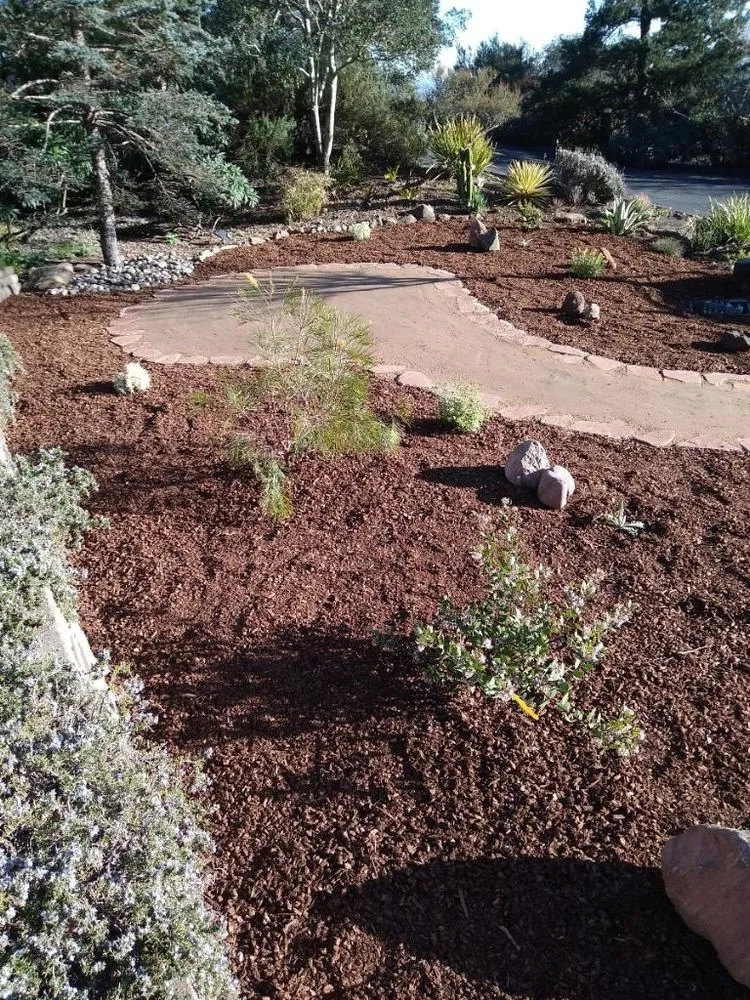 Reliable yard maintenance with custom design across Richmond, CA - Maldonados Landscaping