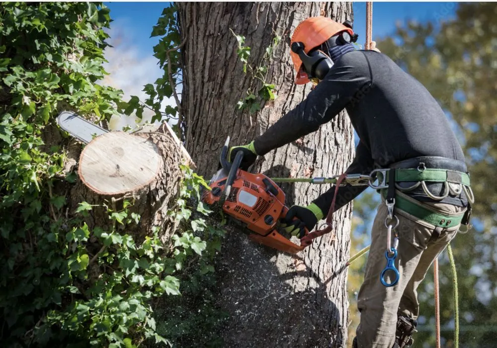 Custom residential landscaping experts serving Wyomissing, PA - Maldonado’s Lawn Services