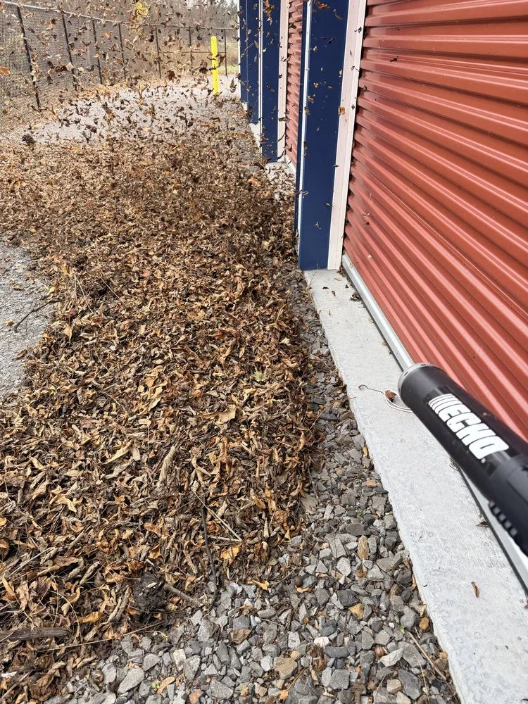 Reliable lawn mowing service in Wyomissing, PA - Maldonado’s Lawn Services