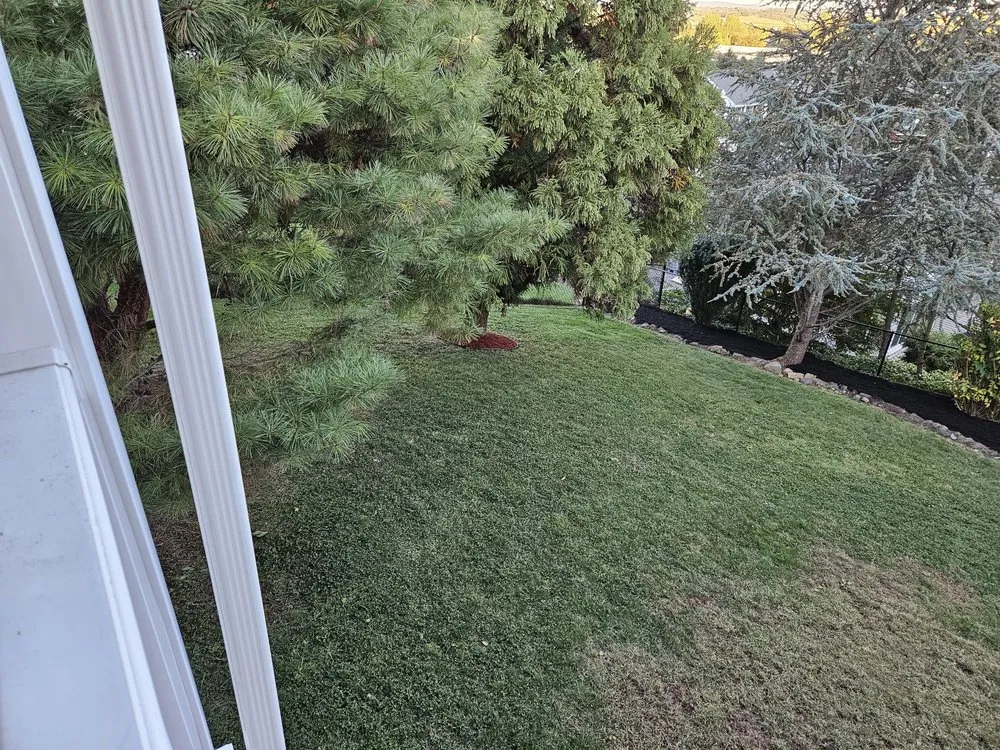 Custom landscaping services in Wyomissing, PA - Maldonado’s Lawn Services