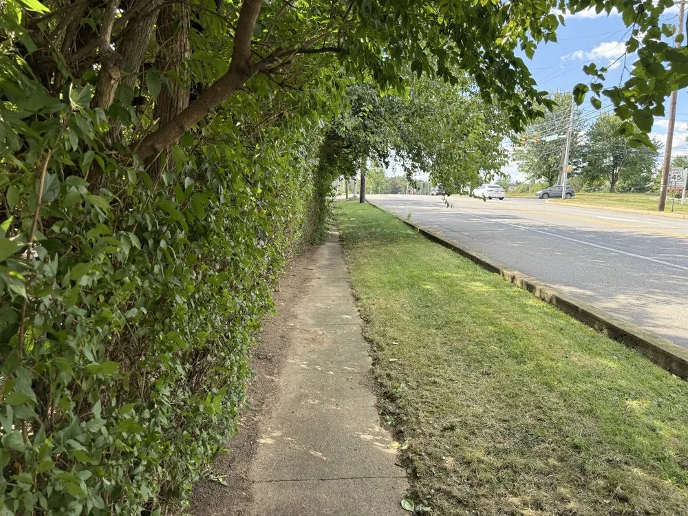 Expert lawn care service for outdoor upgrades across Wyomissing, PA - Maldonado’s Lawn Services