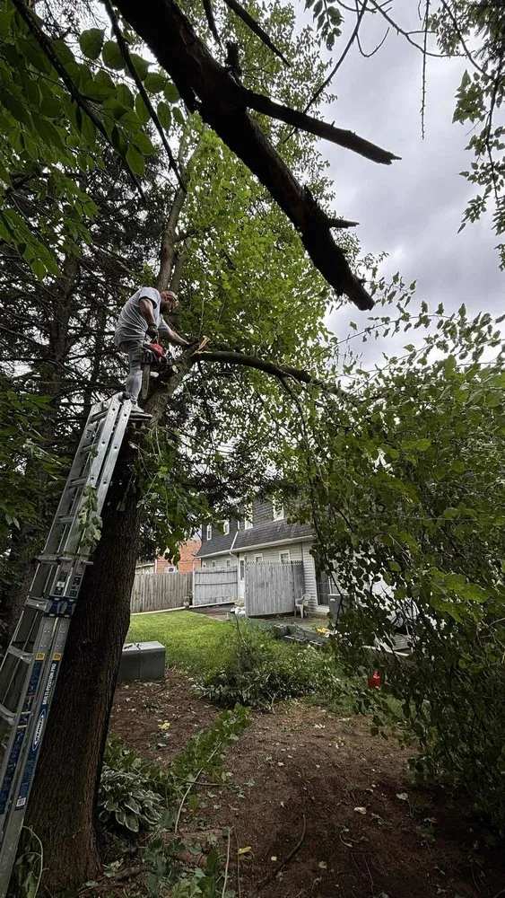 Reliable landscape design for year-round maintenance across Wyomissing, PA - Maldonado’s Lawn Services