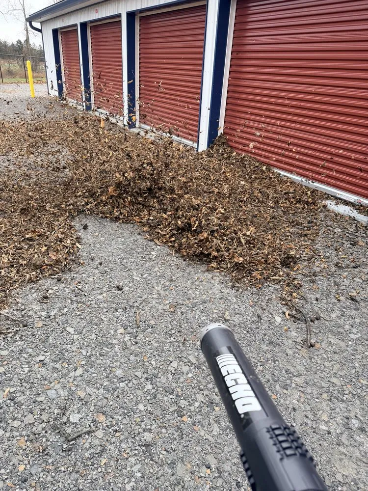 Custom lawn mowing service for homes in Wyomissing, PA by Maldonado’s Lawn Services