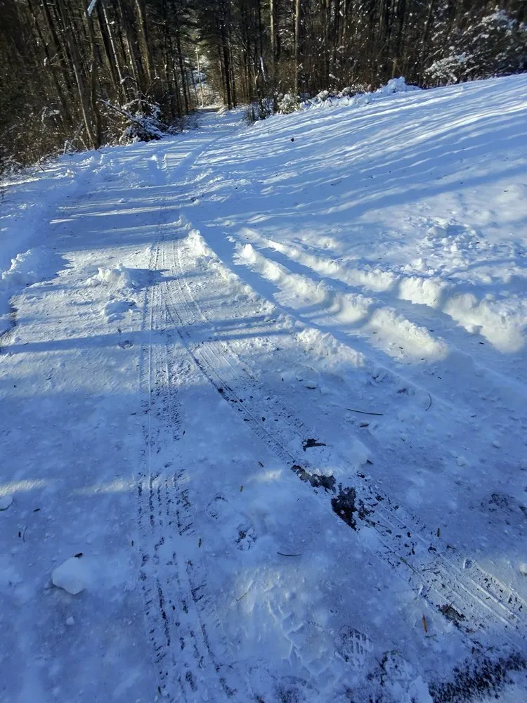 Professional lawn care service for beautiful yards across Wyomissing, PA - Maldonado’s Lawn Services