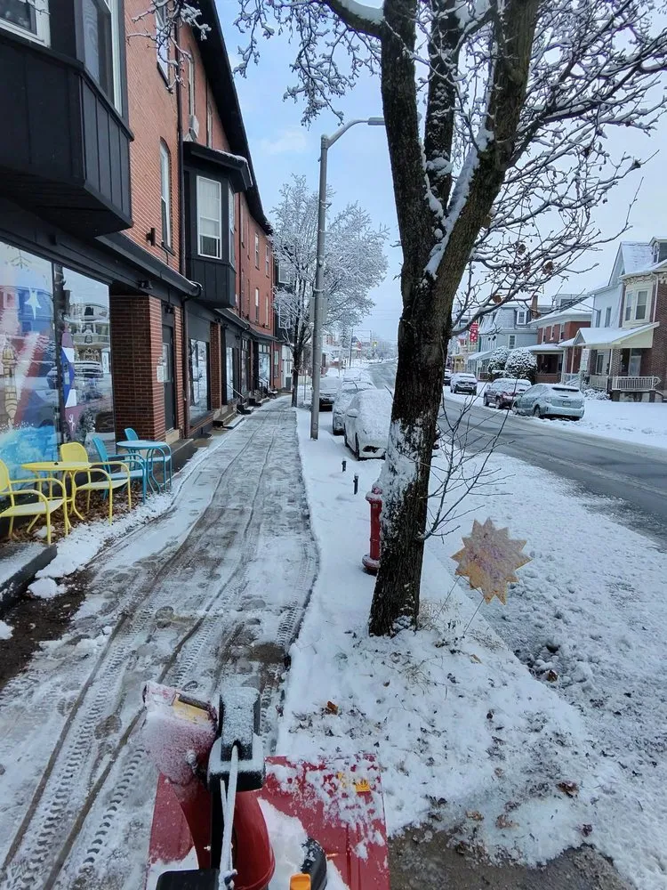 Top-rated yard cleanup service in Wyomissing, PA - Maldonado’s Lawn Services