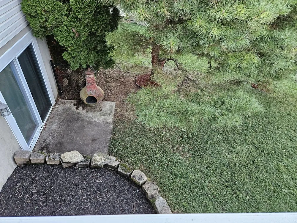 Affordable yard cleanup service in Wyomissing, PA by Maldonado’s Lawn Services