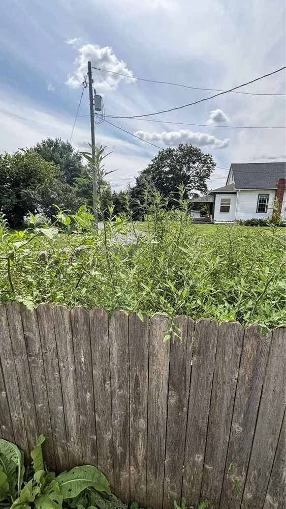 Reliable garden landscaping for homes in Wyomissing, PA by Maldonado’s Lawn Services