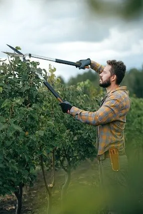 Local garden landscaping for homes across Colts Neck, NJ - Maldonado's Property Management