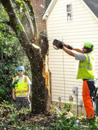 Top-rated landscape installation for outdoor upgrades across Colts Neck, NJ - Maldonado's Property Management