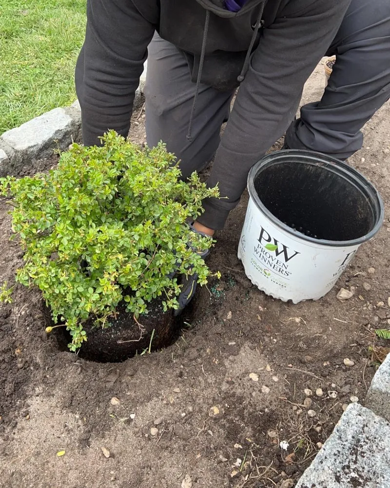 Expert garden landscaping for year-round maintenance across Colts Neck, NJ - Maldonado's Property Management