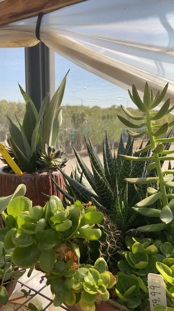 Professional landscaping services experts serving New Braunfels, TX - Maldonaldo Landscape & Irrigation