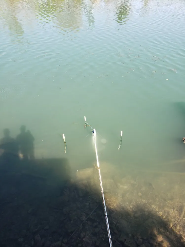 Trusted garden landscaping in New Braunfels, TX - Maldonaldo Landscape & Irrigation