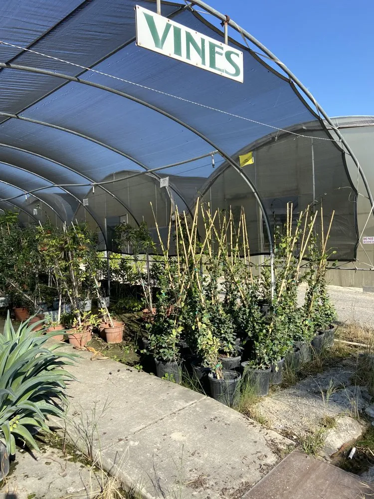 Top-rated garden landscaping for residential properties in New Braunfels, TX by Maldonaldo Landscape & Irrigation