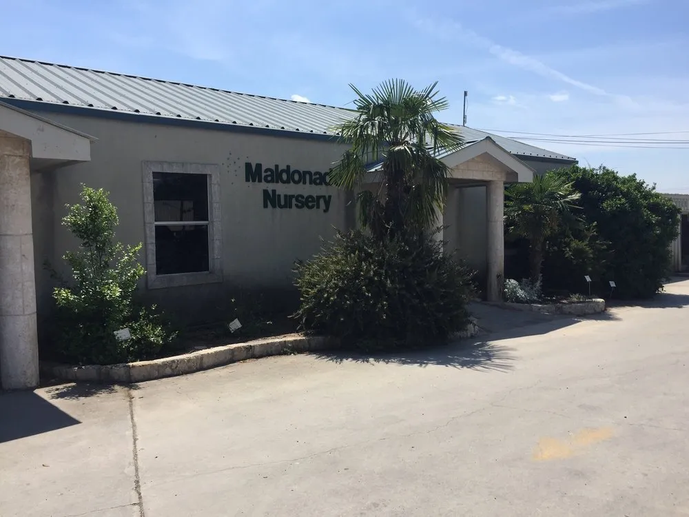 Professional landscaping services with custom design in New Braunfels, TX by Maldonaldo Landscape & Irrigation