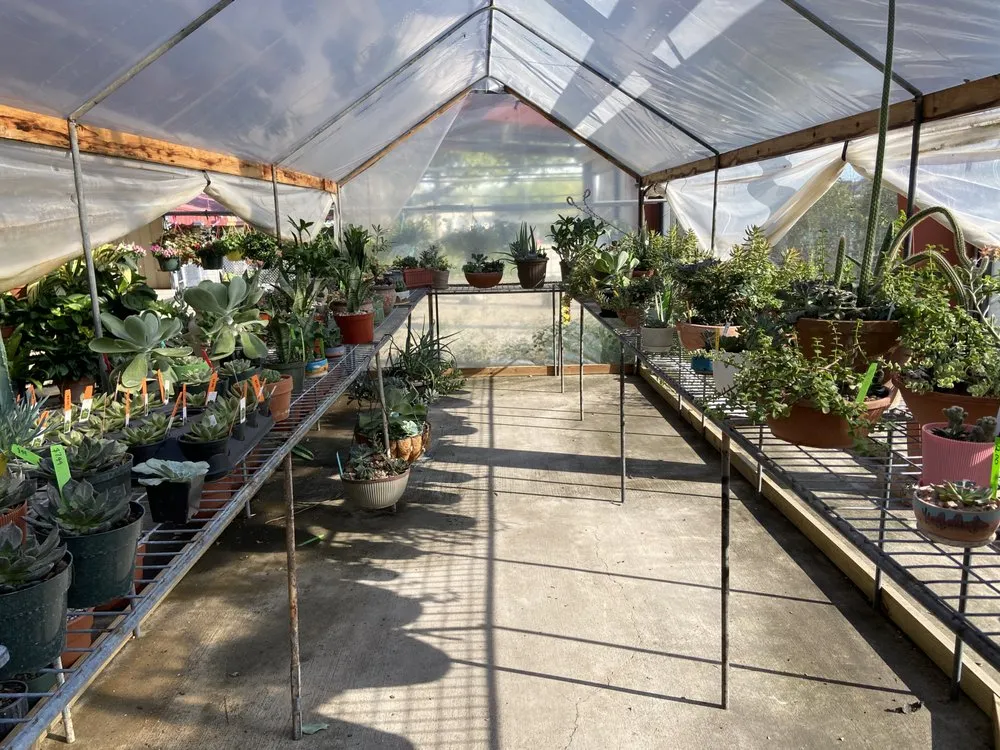 Expert yard cleanup service for residential properties across New Braunfels, TX - Maldonaldo Landscape & Irrigation