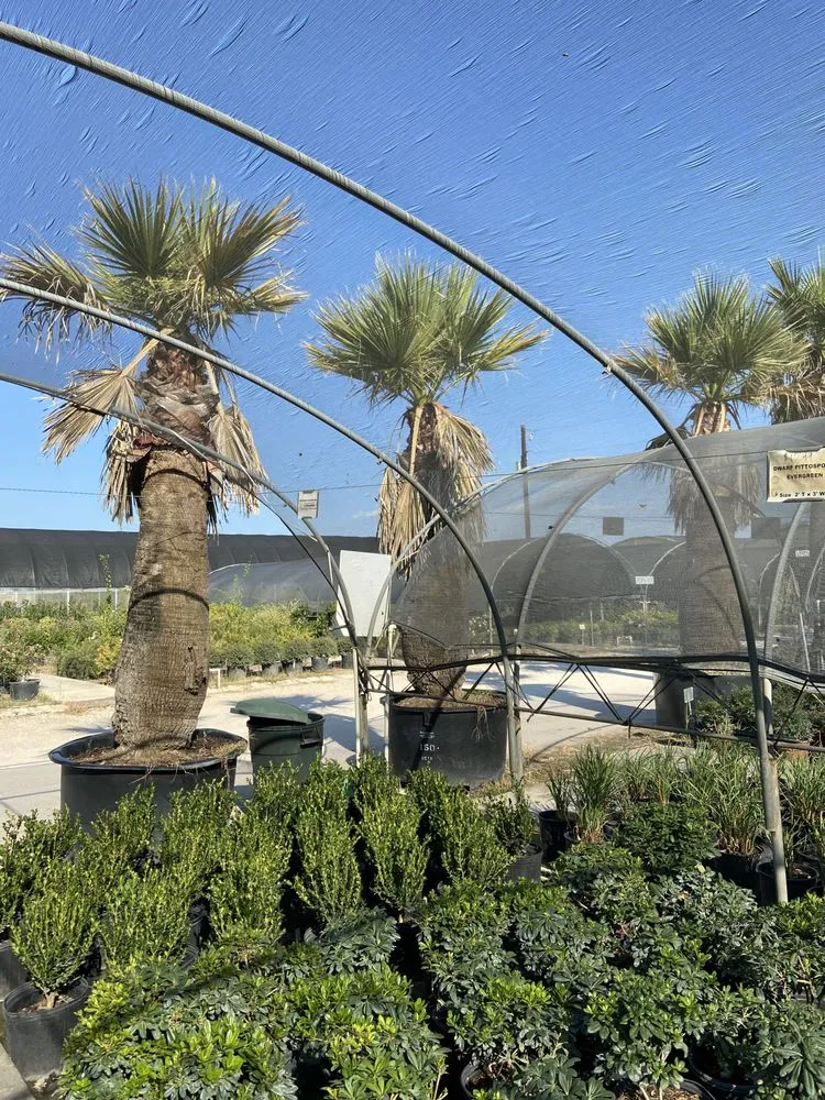 Top-rated landscape installation experts serving New Braunfels, TX - Maldonaldo Landscape & Irrigation