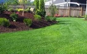 Malek’s Mowing Business Logo