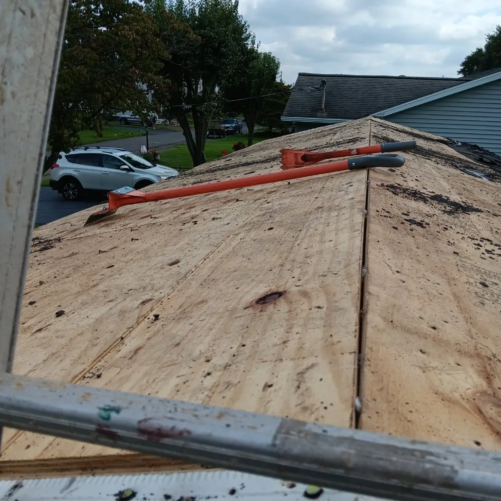 Reliable garden landscaping for year-round maintenance in Plymouth, PA by Maley Enterprises & Construction