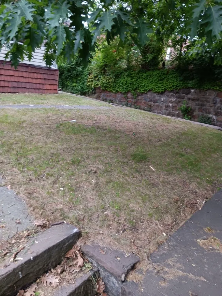 Professional garden landscaping in Plymouth, PA by Maley Enterprises & Construction