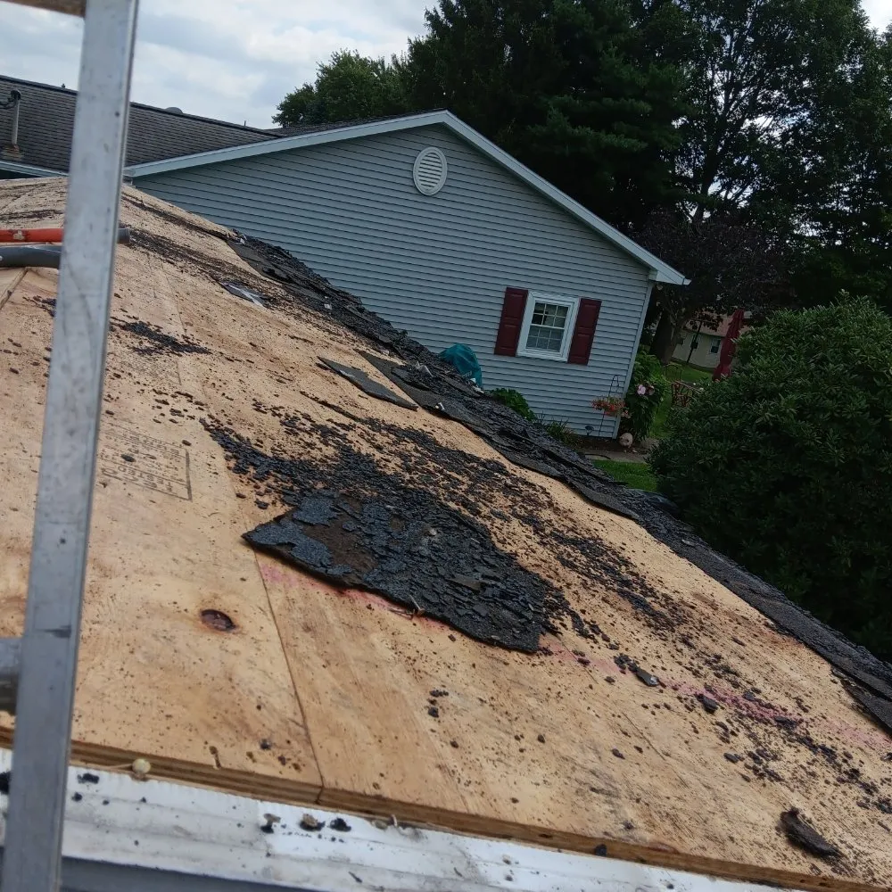 Trusted landscape design experts serving Plymouth, PA - Maley Enterprises & Construction