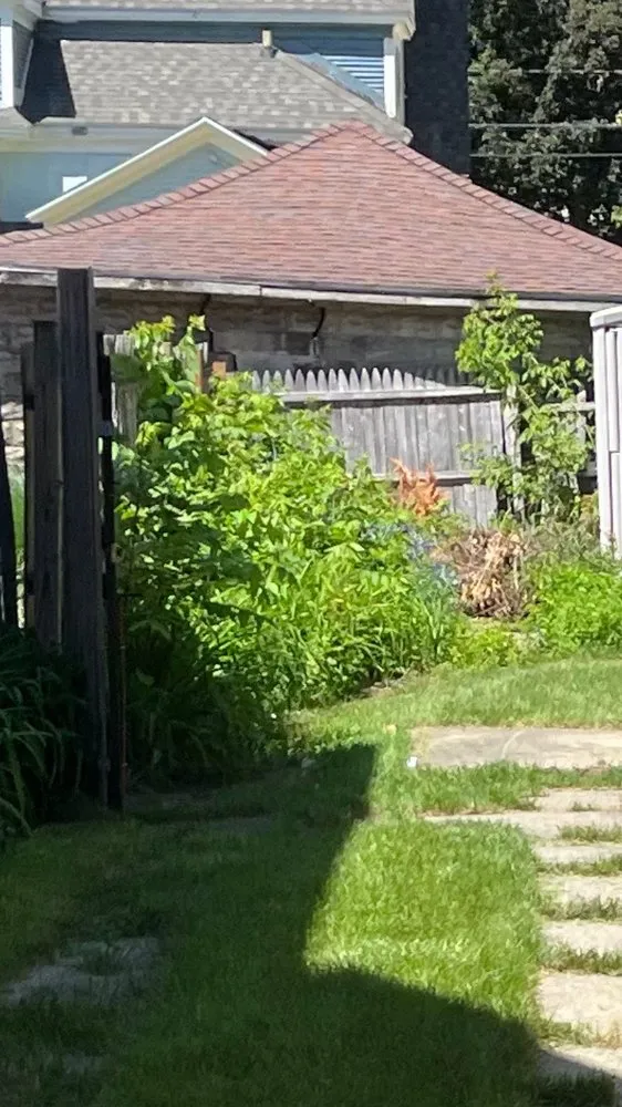 Trusted garden landscaping for beautiful yards across Lake Odessa, MI - Maley’s Lawn and Snow Works