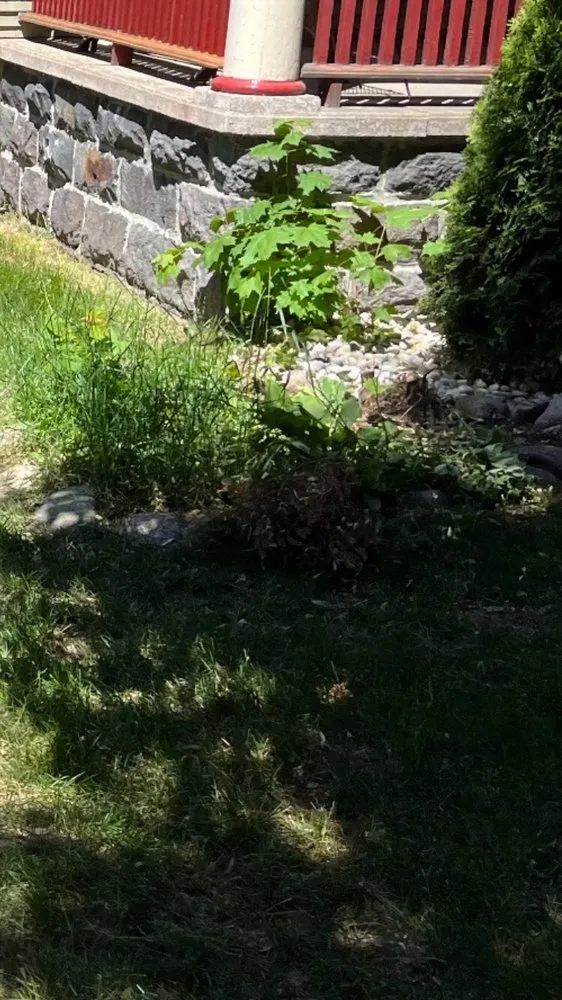 Custom landscape installation in Lake Odessa, MI by Maley’s Lawn and Snow Works