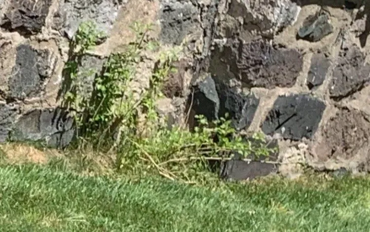 Custom lawn care service for outdoor upgrades in Lake Odessa, MI by Maley’s Lawn and Snow Works