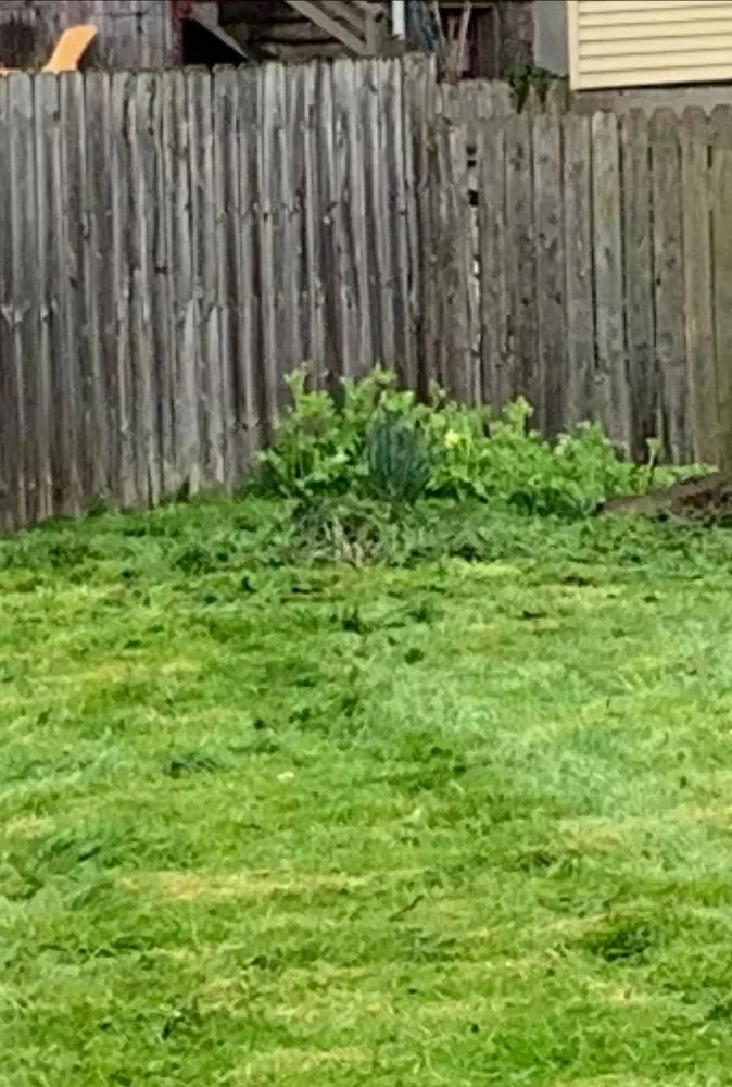 Top-rated yard maintenance in Lake Odessa, MI by Maley’s Lawn and Snow Works