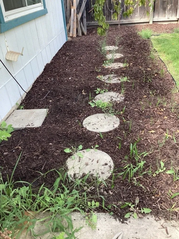 Top-rated lawn mowing service experts serving Ceres, CA - MalfaScape Landscaping