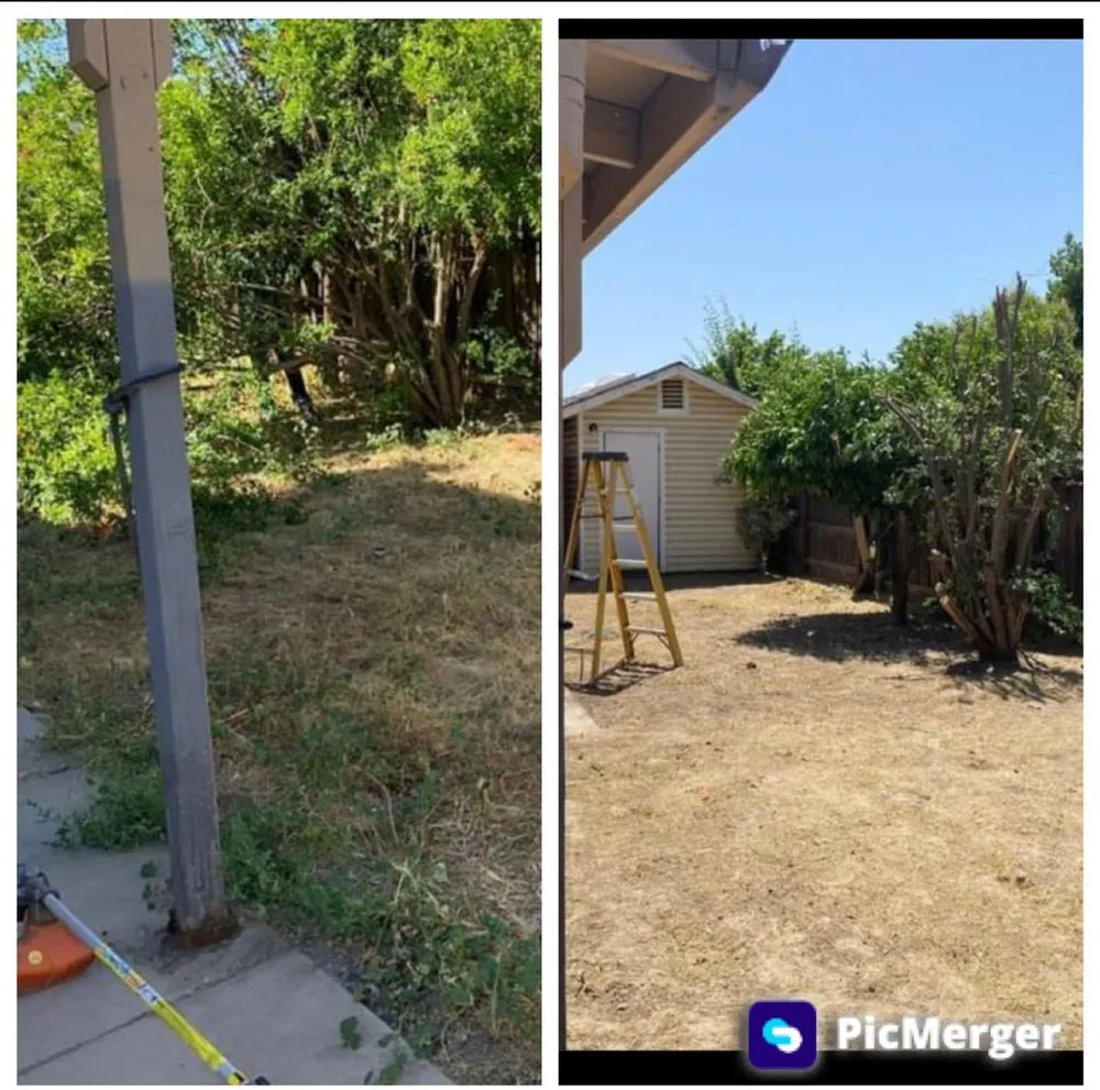 Reliable landscape installation for homes across Ceres, CA - MalfaScape Landscaping