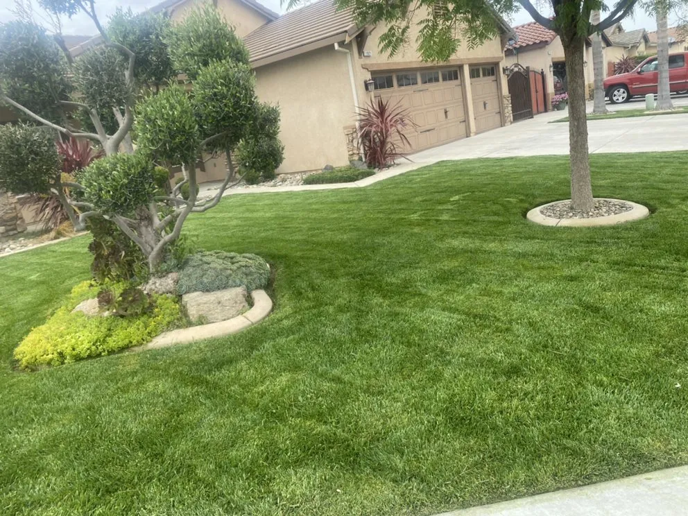 Professional landscape design near you in Ceres, CA by MalfaScape Landscaping