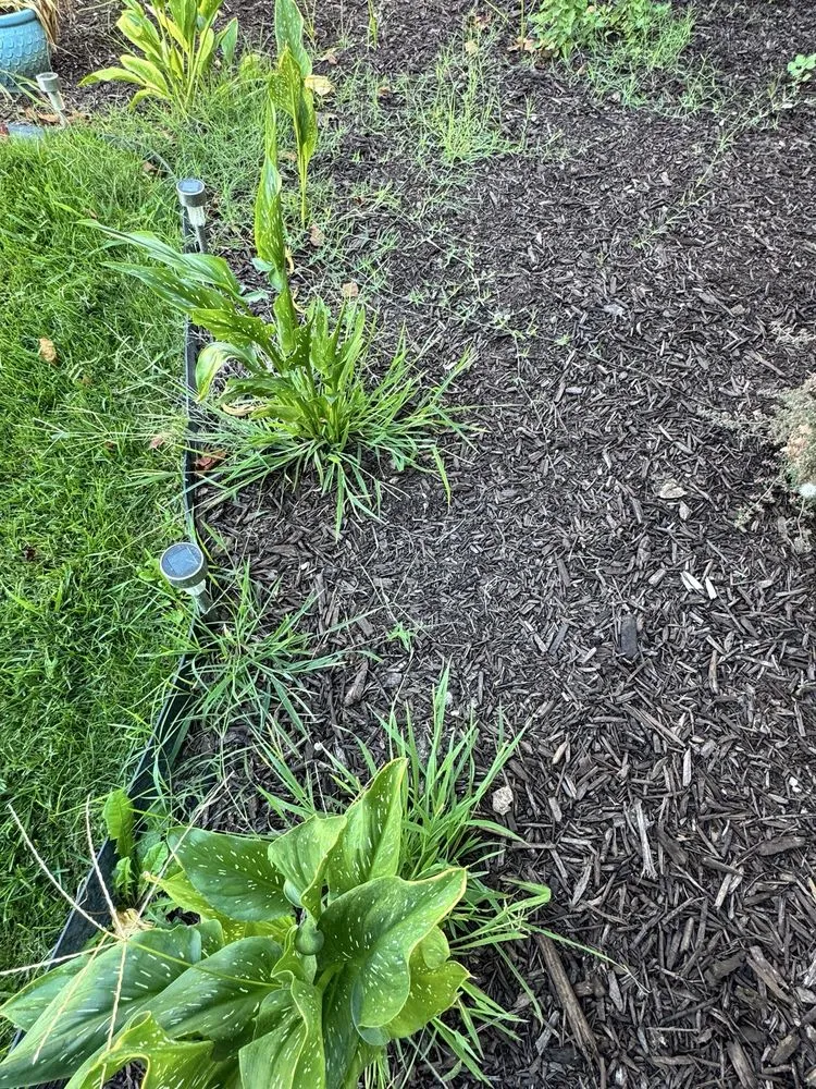 Top-rated residential landscaping experts serving Ceres, CA - MalfaScape Landscaping